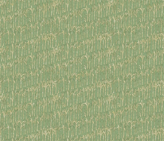 German Coast Green