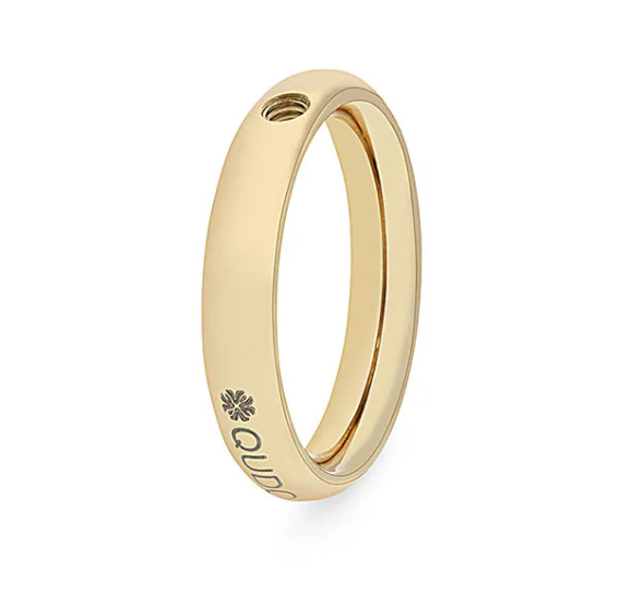 Gold Ring Basic Small