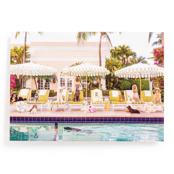 Gray Malin Palm Beach 1000 Piece Book Box Puzzle
