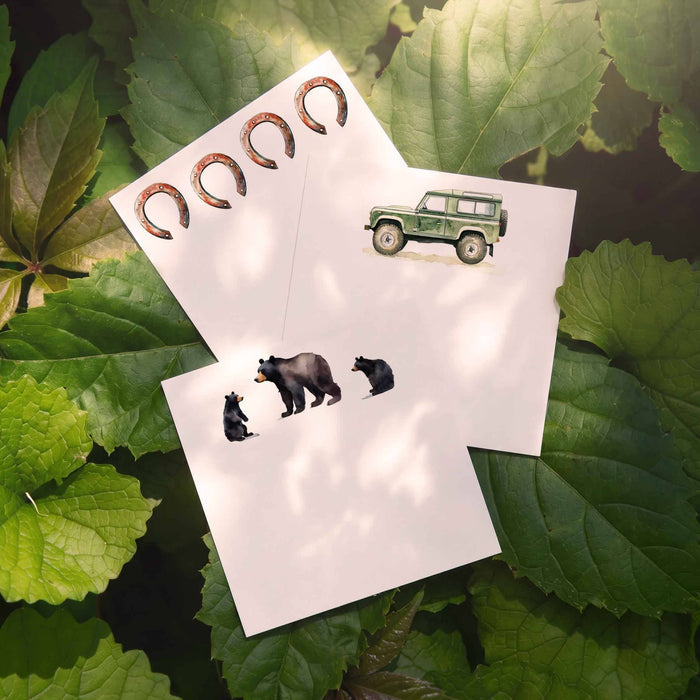 Green Rover - Box of 50 Mini Notes