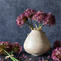 Hortensia