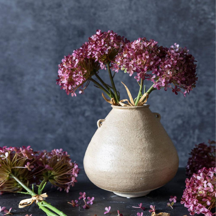 Hortensia