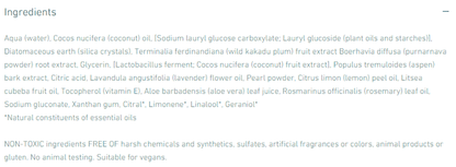ISun Crystal Cleansing Exfoliant 3