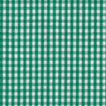 Kelly Gingham