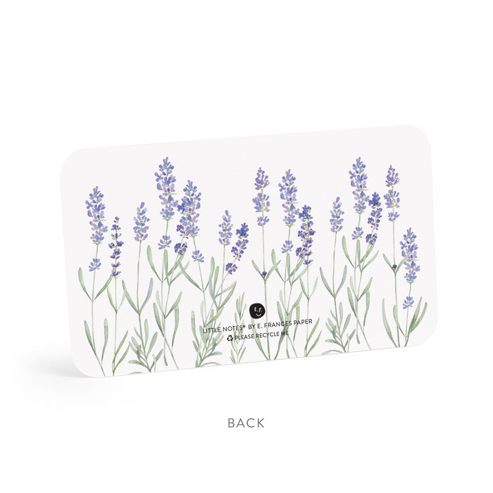 Lavender Little Notes® NEW 55 Count
