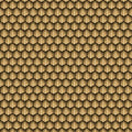 Legendary Armor