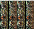 Legendary Border