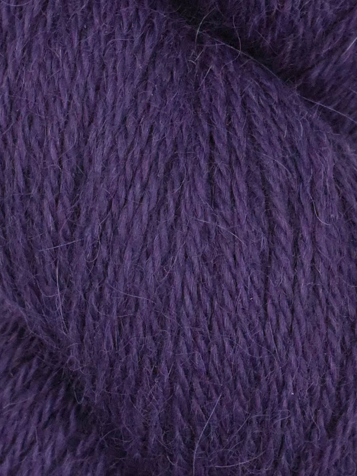 Llama Umi 13 Elderberry