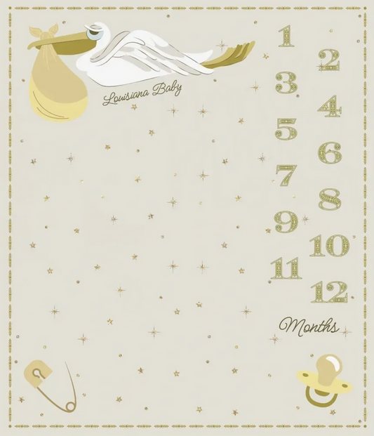 Louisiana Baby Pelican Milestones Panel