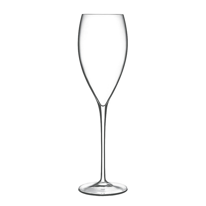 Italian Premium Champagne Glasses | 10.75 oz | Magnifico | Set of 4 - Luigi Bormioli USA