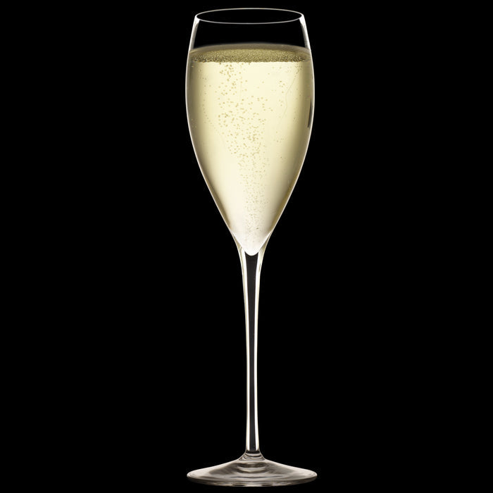 Italian Premium Champagne Glasses | 10.75 oz | Magnifico | Set of 4 - Luigi Bormioli USA