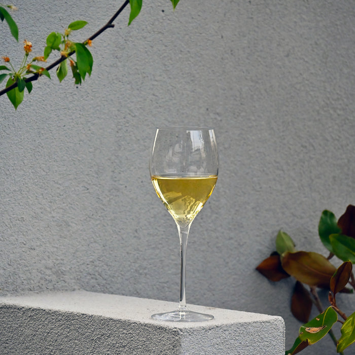 Italian Premium Small White Wine Glasses | 11.75oz | Magnifico | Set of 4 - Luigi Bormioli USA