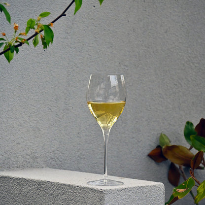 Italian Premium Small White Wine Glasses | 11.75oz | Magnifico | Set of 4 - Luigi Bormioli USA