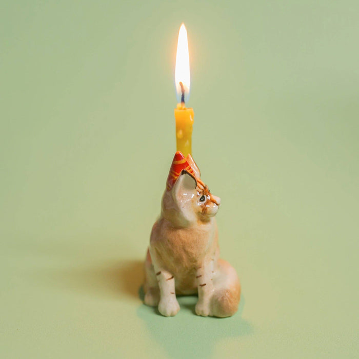 Maine Coon Cat Cake Topper