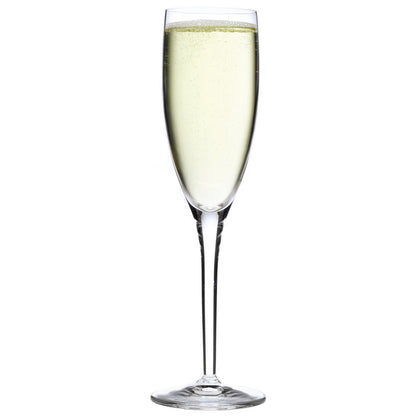 Italian Premium Champagne Flute | 6.75oz | Michelangelo Masterpiece | Set of 4 - Luigi Bormioli USA