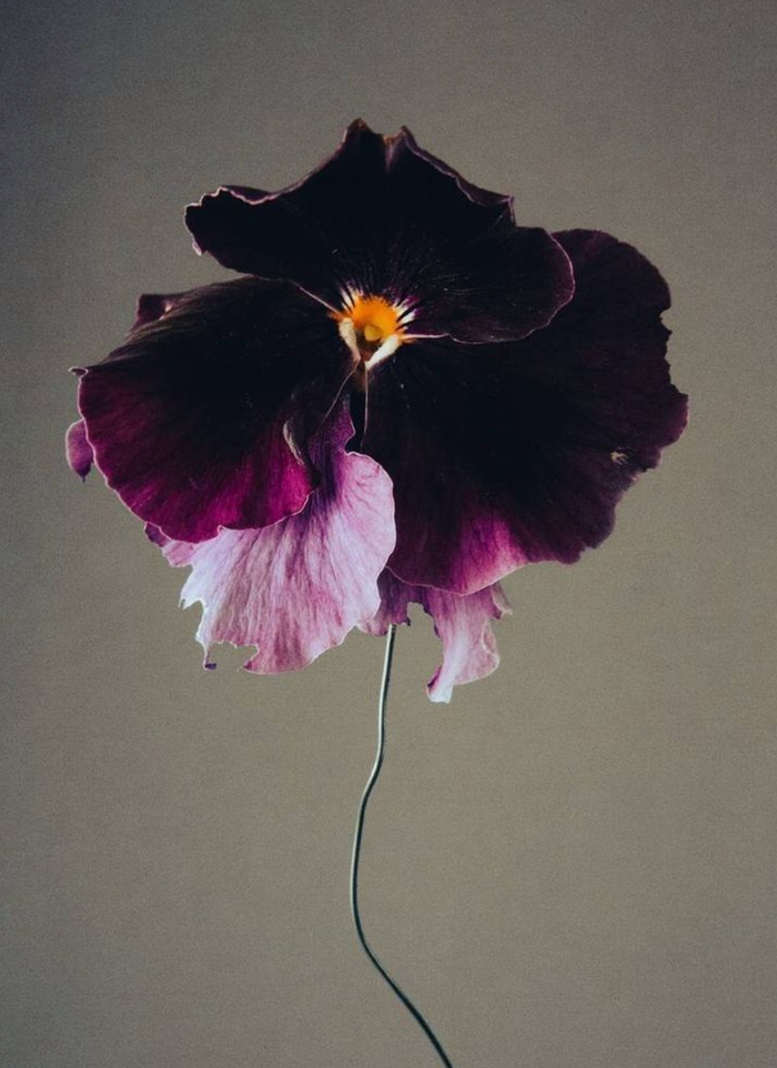 Moody Blooms Candle