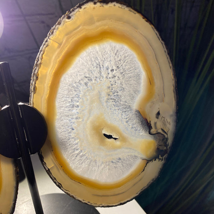 Natural Brazilian Agate "Butterfly" Slices, 8.3" Tall #5050NA-039 by Brazil Gems - Brazil GemsBrazil GemsNatural Brazilian Agate "Butterfly" Slices, 8.3" Tall #5050NA-039 by Brazil GemsAgate Butterfly Wings5050NA-039