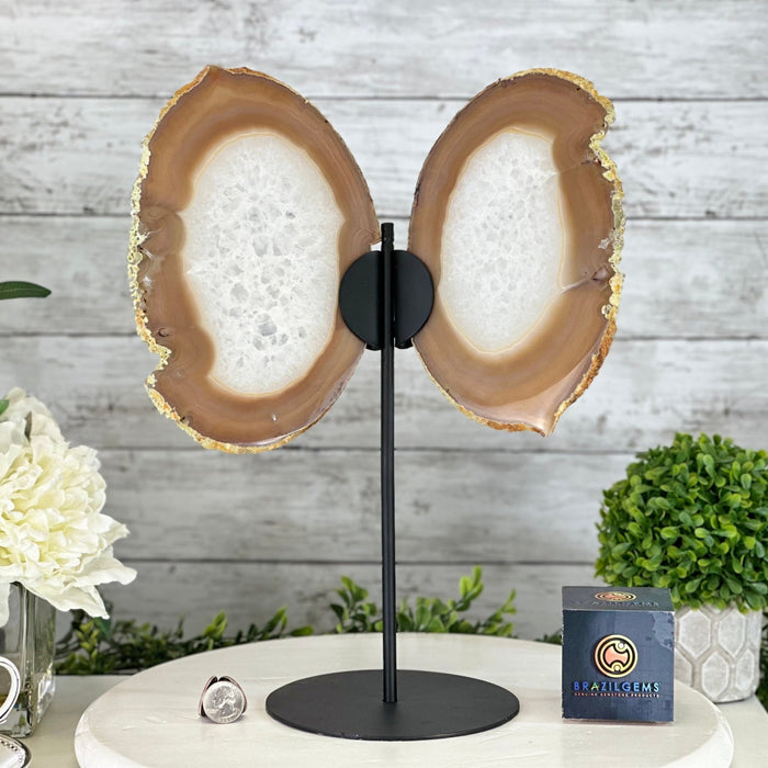 Natural Brazilian Agate "Butterfly Wings", 14" Tall #5050NA-076 - Brazil GemsBrazil GemsNatural Brazilian Agate "Butterfly Wings", 14" Tall #5050NA-076Agate Butterfly Wings5050NA-076