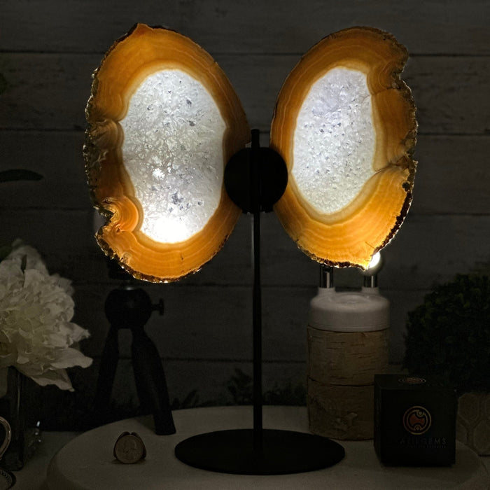 Natural Brazilian Agate "Butterfly Wings", 14" Tall #5050NA-076 - Brazil GemsBrazil GemsNatural Brazilian Agate "Butterfly Wings", 14" Tall #5050NA-076Agate Butterfly Wings5050NA-076