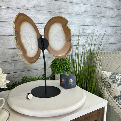 Natural Brazilian Agate "Butterfly Wings", 14" Tall #5050NA-076 - Brazil GemsBrazil GemsNatural Brazilian Agate "Butterfly Wings", 14" Tall #5050NA-076Agate Butterfly Wings5050NA-076