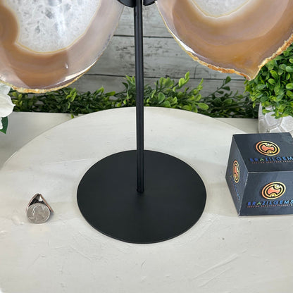 Natural Brazilian Agate "Butterfly Wings", 14" Tall #5050NA-076 - Brazil GemsBrazil GemsNatural Brazilian Agate "Butterfly Wings", 14" Tall #5050NA-076Agate Butterfly Wings5050NA-076