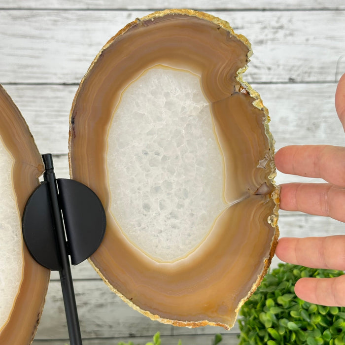 Natural Brazilian Agate "Butterfly Wings", 14" Tall #5050NA-076 - Brazil GemsBrazil GemsNatural Brazilian Agate "Butterfly Wings", 14" Tall #5050NA-076Agate Butterfly Wings5050NA-076
