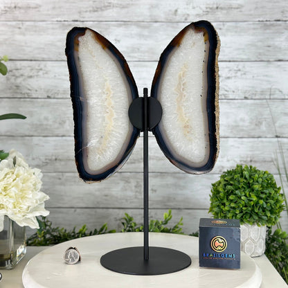 Natural Brazilian Agate "Butterfly Wings", 15.75" Tall #5050NA-084 - Brazil GemsBrazil GemsNatural Brazilian Agate "Butterfly Wings", 15.75" Tall #5050NA-084Agate Butterfly Wings5050NA-084