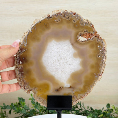 Natural Brazilian Agate Slice on metal base, 12.5" Tall #5057-0022