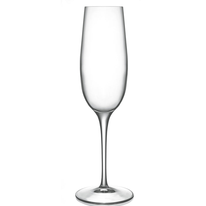 Italian Premium Flute Glasses | 8oz | Palace | Set of 6 - Luigi Bormioli USA