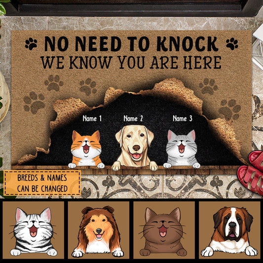 Pawzity No Need To Knock Custom Doormat, Gifts For Pet Lovers, We Know You Are Here Naughty Dog & Cat