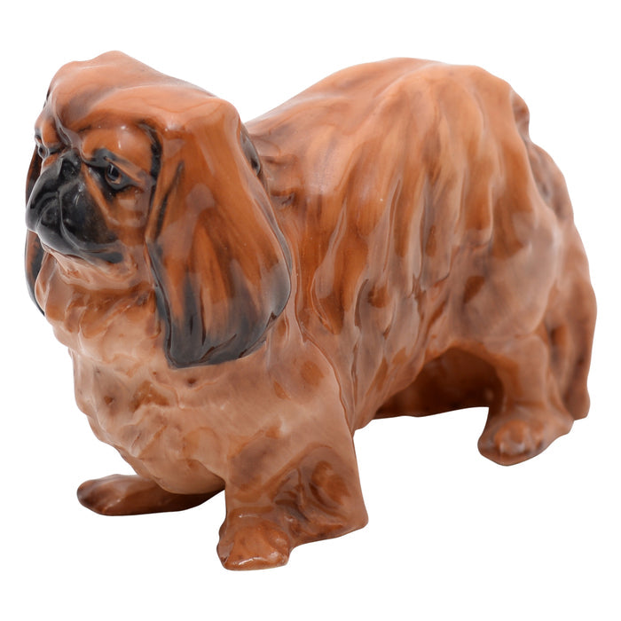 Pekinese