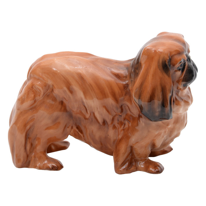 Pekinese