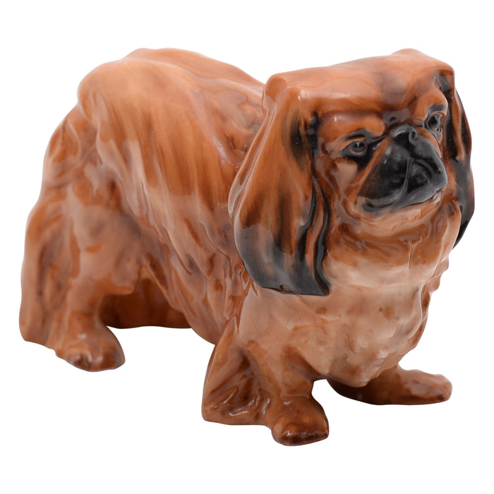 Pekinese