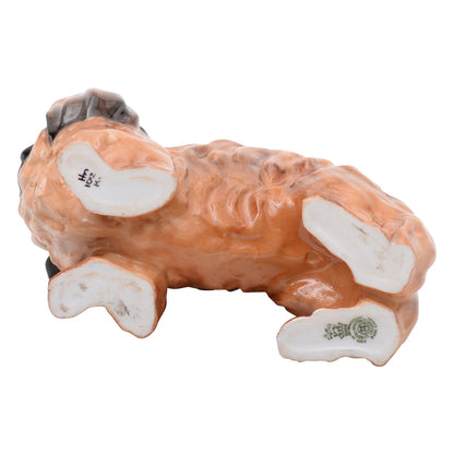 Pekinese