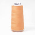 Perfect Quilting Thread 3500M 1111