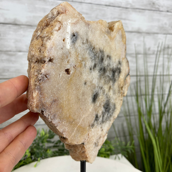 Polished Pink Amethyst Slice on a Stand, 5.2 lbs, 11.9" Tall #5742-0031 by Brazil Gems - Brazil GemsBrazil GemsPolished Pink Amethyst Slice on a Stand, 5.2 lbs, 11.9" Tall #5742-0031 by Brazil GemsSlices on Fixed Bases5742-0031