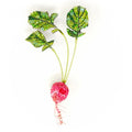 Red Radish Brooch Pin
