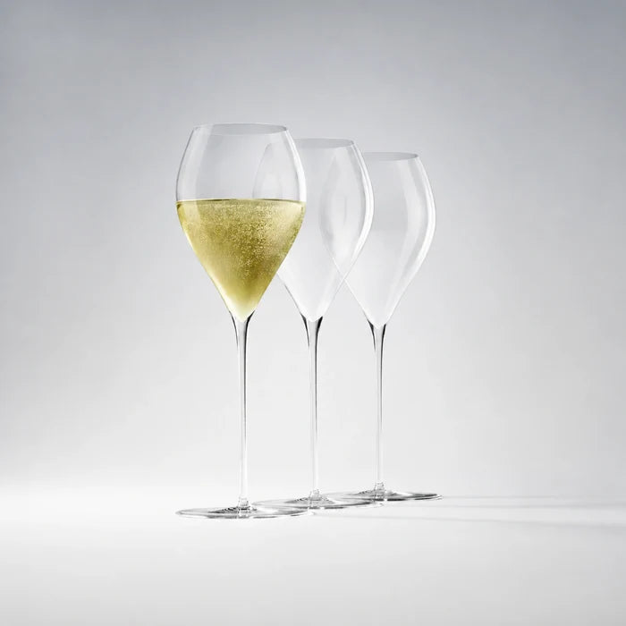 Sapientia Bollicine Sparkling Wine Glasses