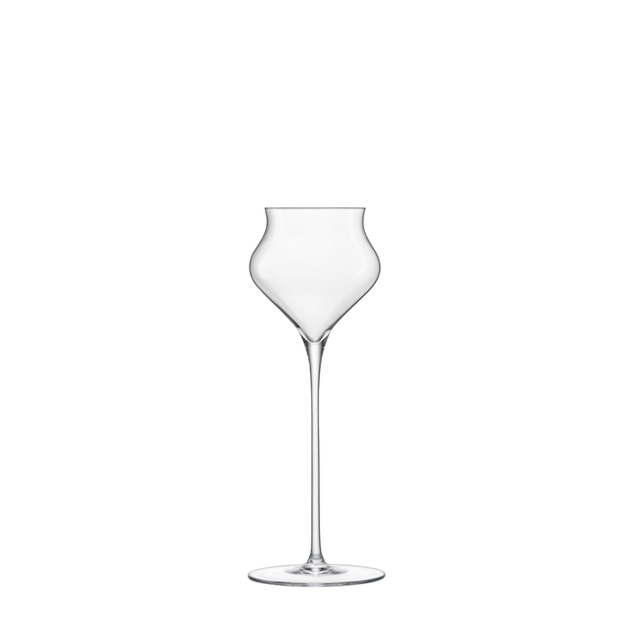 A clear Sapientia Spirits glass by Luigi Bormioli on a white background