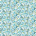 Seaside Garden Aquamarine Asters