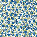 Seaside Garden Cobalt Asters