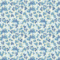Seaside Garden Cobalt Heather