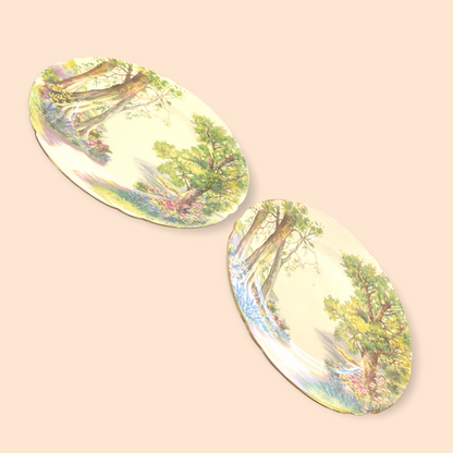 Shelley "Woodland" 13348 8 Inch Luncheon Plate Nature Fine Bone China England
