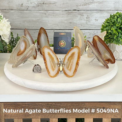 Small Natural Brazilian Agate "Butterfly Wings", ~4" Length #5049NA - Brazil GemsBrazil GemsSmall Natural Brazilian Agate "Butterfly Wings", ~4" Length #5049NAAgate Butterfly Wings5049NA-027