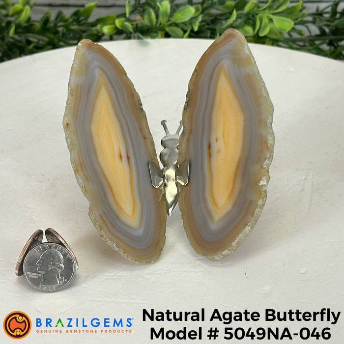 Agate / 5049NA-046