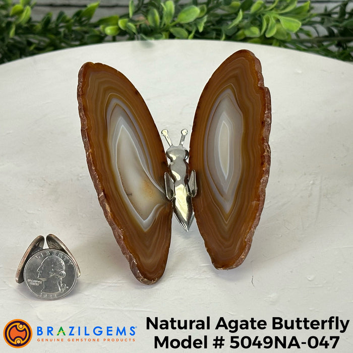 Agate / 5049NA-047