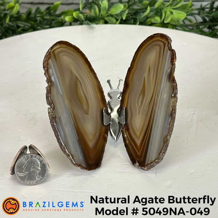 Agate / 5049NA-049