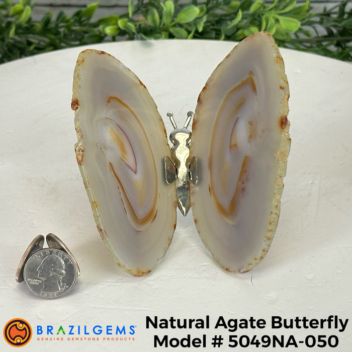 Agate / 5049NA-050