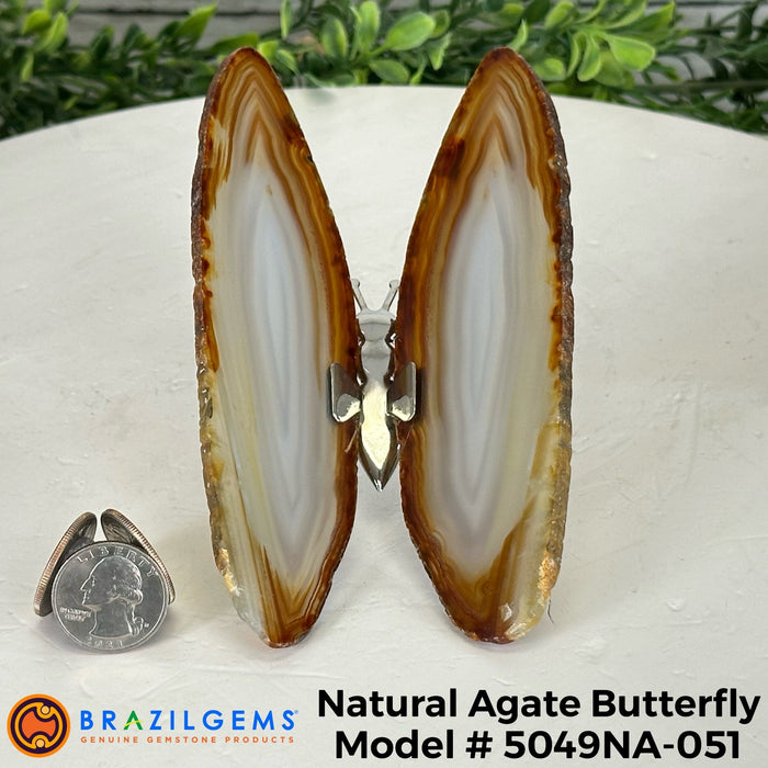 Agate / 5049NA-051
