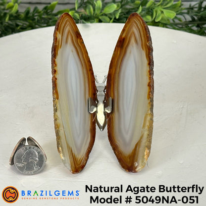 Agate / 5049NA-051